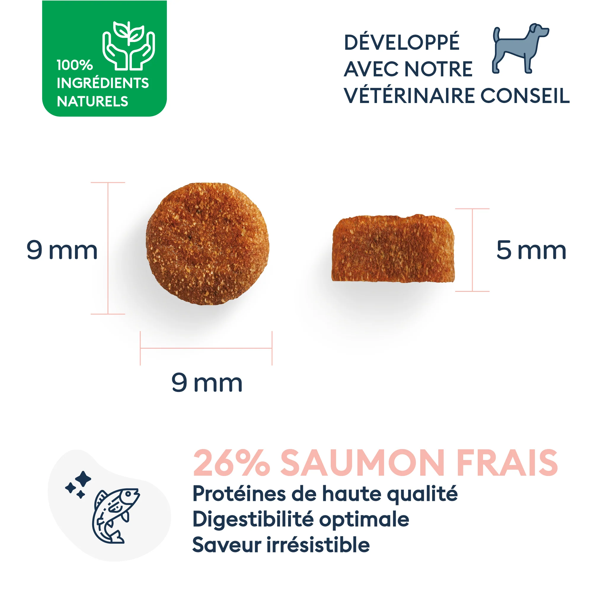 Marly & Dan - Croquettes Sans Céréales au Saumon pour Chien Senior de Petite Taille – Image 4